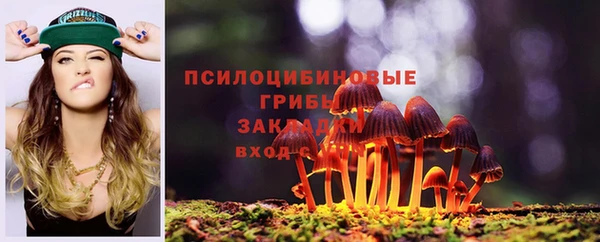 не бодяженный Дмитров